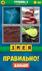 4 Pics_1_Word_Puzzle_Plus-05