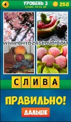 4 Pics_1_Word_Puzzle_Plus-14_copy