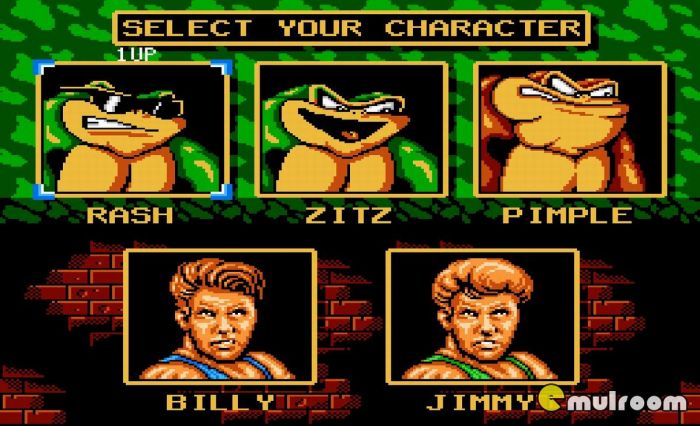 Battletoads 2